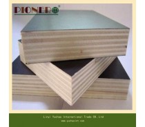 16mm Black Film Faced Plywood