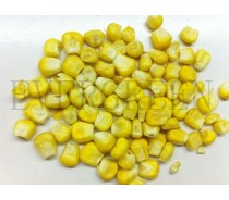 Freeze Dried Sweet Corn