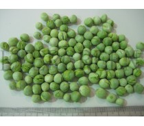 Freeze Dried Green Pea