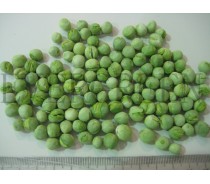 Dry green pea