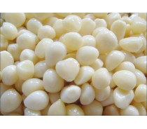 Garlic cloves in brine