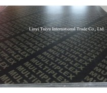 Black Film Faced Plywood with Logo/Black Shuttering Plywood