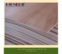 Cheap Price Commercial Plywood