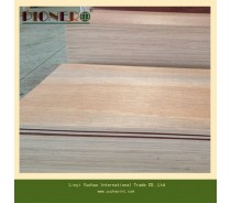 Commercial Plywood