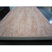 Natural Red Beech  Plywood