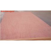 Bintangor Commercial Plywood