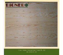 Hot Sell Wood Grain Fancy Plywood for Iraq Market