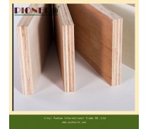 White Oak Plywood for Furniture with E0 Glue