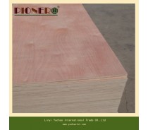 Commercial Plywood AAA Grade for Middle East Market