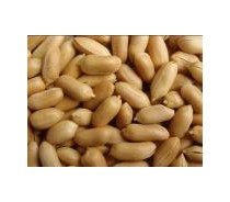 Fried Peanut Kernels