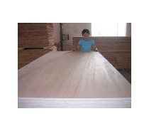 Commercial Plywood for Furniture