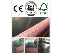 Good Quality and Competitive Price Film Faced Plywood