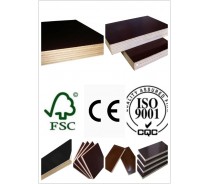 AAA Grade Film Faced Plywood (HB123)