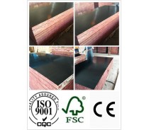 18mm Black Film Faced Plywood (HB100)