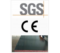 Black Film Faced Plywood with CE Certificate
