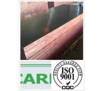 Chinese Competieve Price Plywood (HB122)