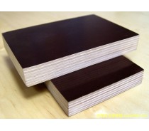 20mm Film Faced Plywood