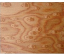 engineered wood veneer Manufacturers