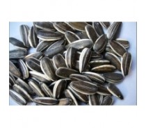 Sunflower seeds