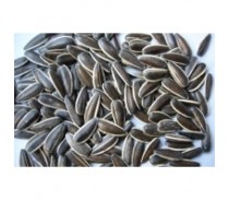 Sunflower seeds