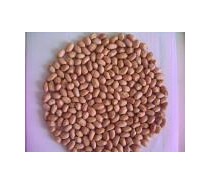 Peanut Kernels (Round)