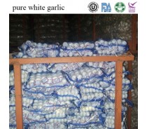 products whole fresh garlic exported to dubai