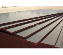 Brown Film Faced Plywood/Brown Shuttering Plywood