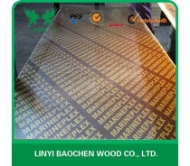UAE market brown film faced plywood with brand name
