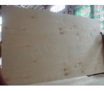 BIRCH PLYWOOD