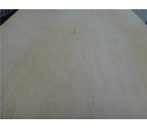 High Quality and Cheap Price Plywood on Sales