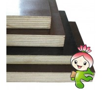 shutting plywood,Concrete formwork plywopod