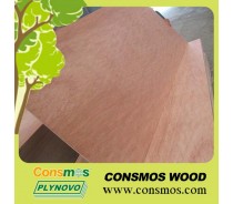 9mm/12mm/15mm/18mm Marine Plywood/Furniture Grade Plywood