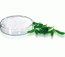 Stevia Extract