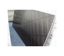 Shuttering Plywood 12mm/15mm/18mm for Sale