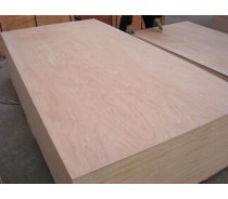 Consmos  Poplar Core Mr Glue Commerical Plywood