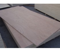 Hot sale Bintangor plywood from China Linyi