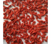 Goji Berry