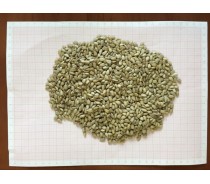 Sunflower kernel (bakery Grade)