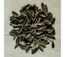 Sunflower Seeds