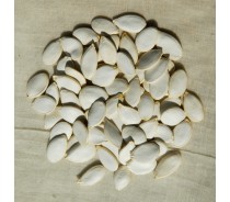 Snow White pumpkin seeds