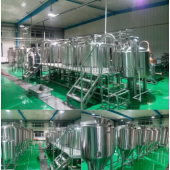 500L Customized Beer Brewery Equipment
