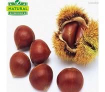 CHESTNUT