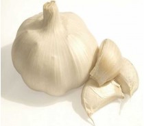 New crop pure white garlic