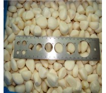 Quick frozen garlic IQF