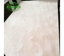 Best  Plywood Sheet / Okoume Plywood