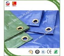 Green Color Cut Size Poly Tarp