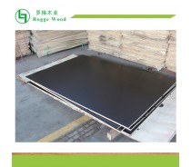 F17 Formply 1200*1800*17mm