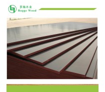 Brown Film Faced plywood