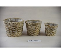 All Shapes of Papyrus Basket (Set of Three)
