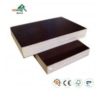 21mm WBP film faced shuttering ply wood
